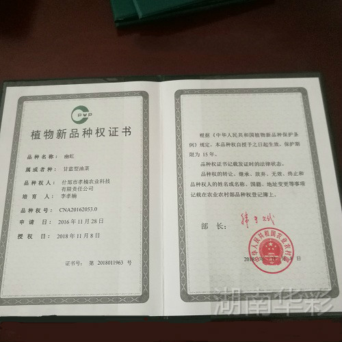 幽虹 植物新品种授权证书