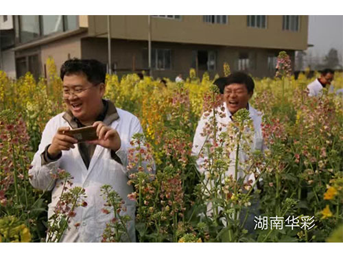 17年农业农村部现场审订