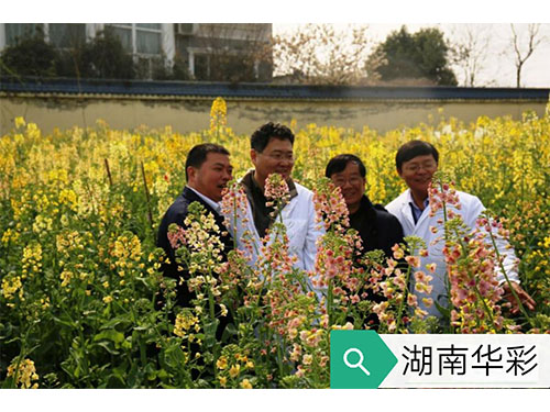 17年农业农村部现场审订