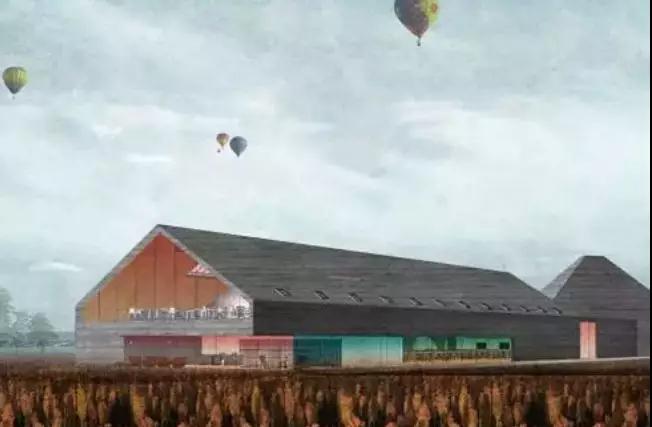 彩色油菜花的研究与开发推广