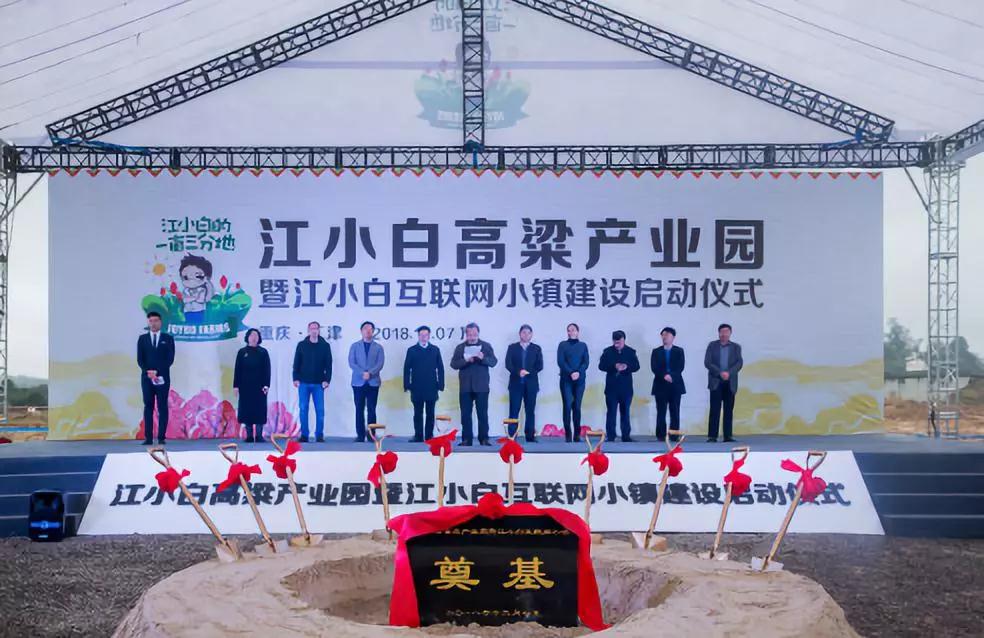 彩色油菜花的研究与开发推广