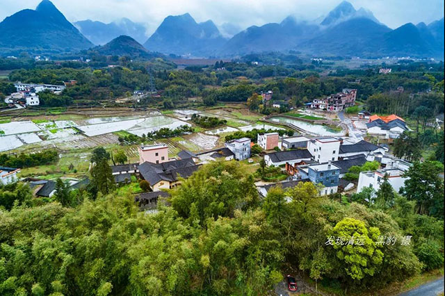 彩色油菜花的研究与开发推广