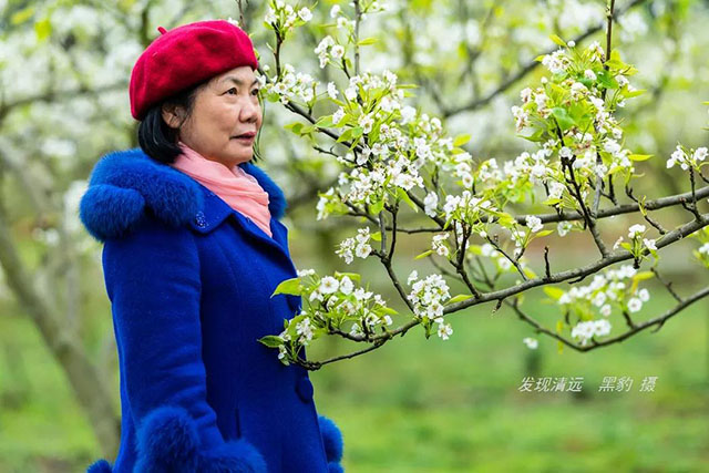 彩色油菜花的研究与开发推广