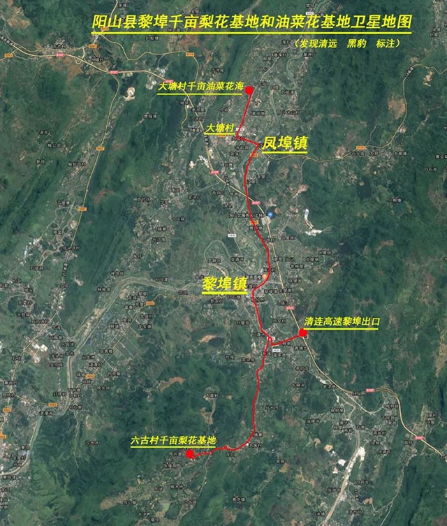 彩色油菜花的研究与开发推广