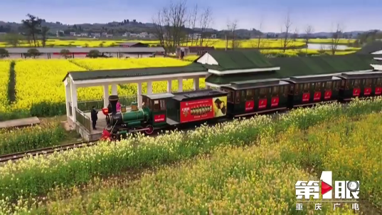 彩色油菜花的研究与开发推广